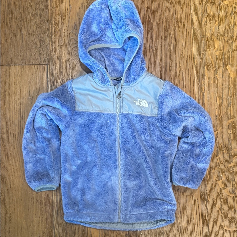The North Face Kids Cozy Perriwinkle Fleece Hoodie 4T